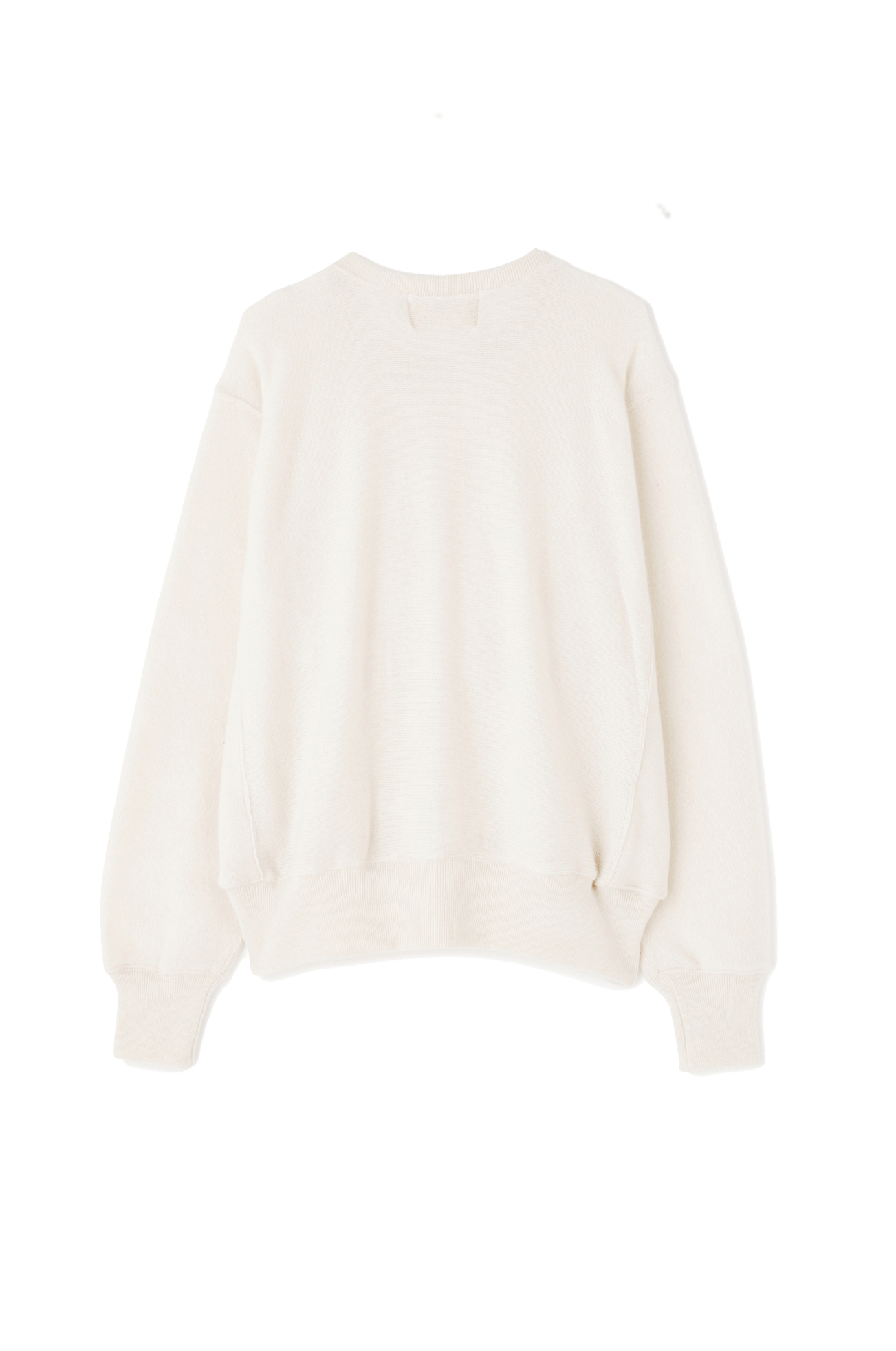 CREW NECK SWEAT SHIRTS - Cashmere jersey -