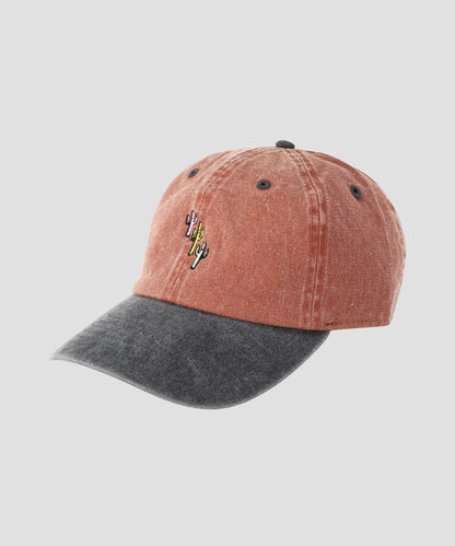 BI-COLOR COTTON CAP  ‐Cactus + Logo Embroidery‐