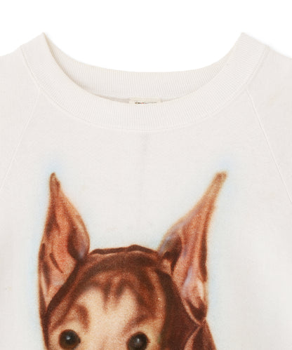 犬顔　スウェット