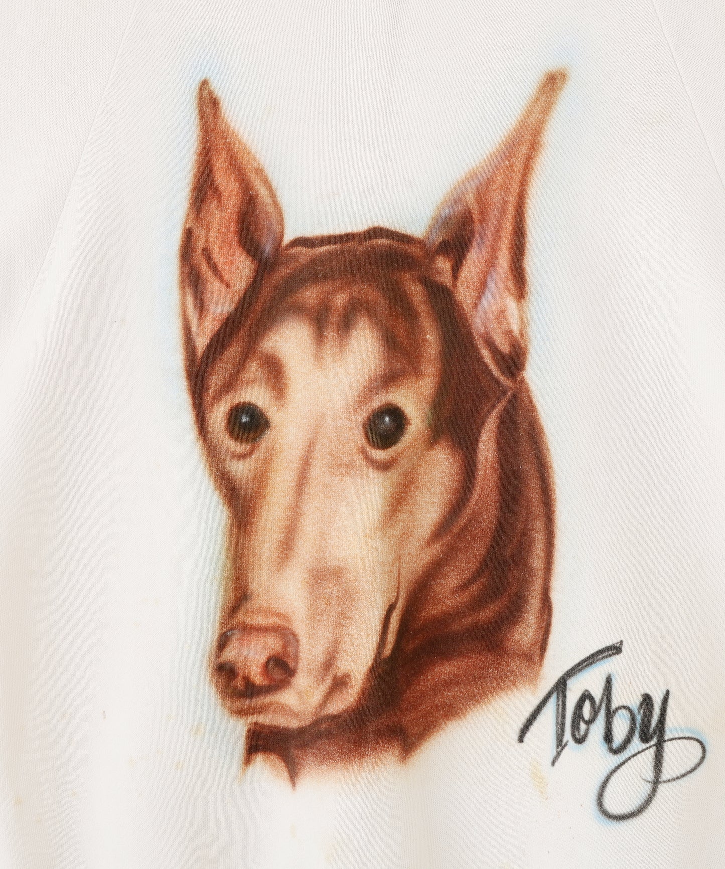 犬顔　スウェット